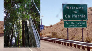 California Redwoods photo by CSF Registrar Gwen Rasmussen, Welcome to California photo: Megan J Wynne copyright 2020